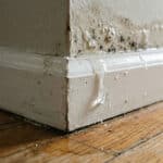 HIDDEN WATER LEAKS IN WINTER: HOW COLD WEATHER CAN DAMAGE YOUR HOME’S PLUMBING